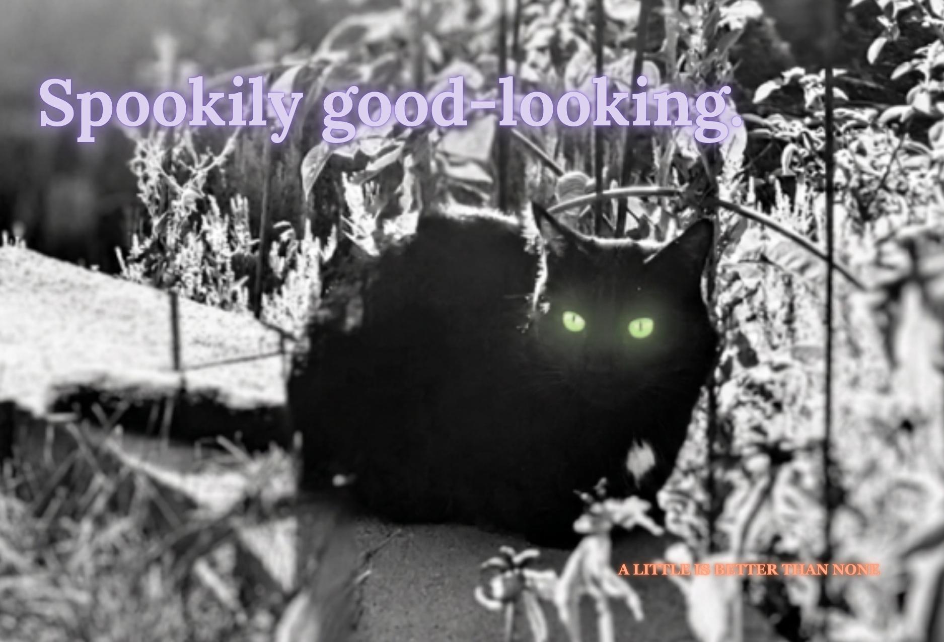 Halloween card preview